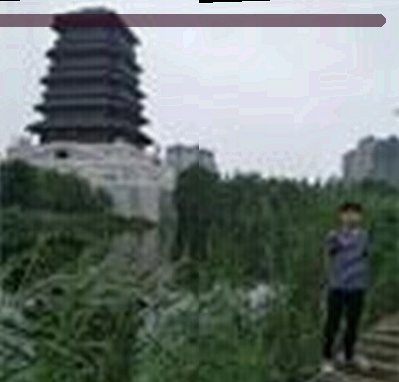 郑宇